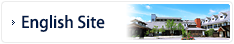 English Site