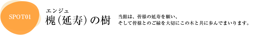 槐（延寿）の樹｜当館は、皆様の延寿を願い、そして皆様とのご縁を大切にこの木と共に歩んでまいります。